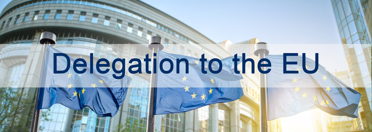 Discover the Delegation to the EU