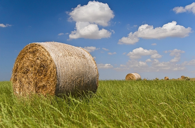 Agriculture